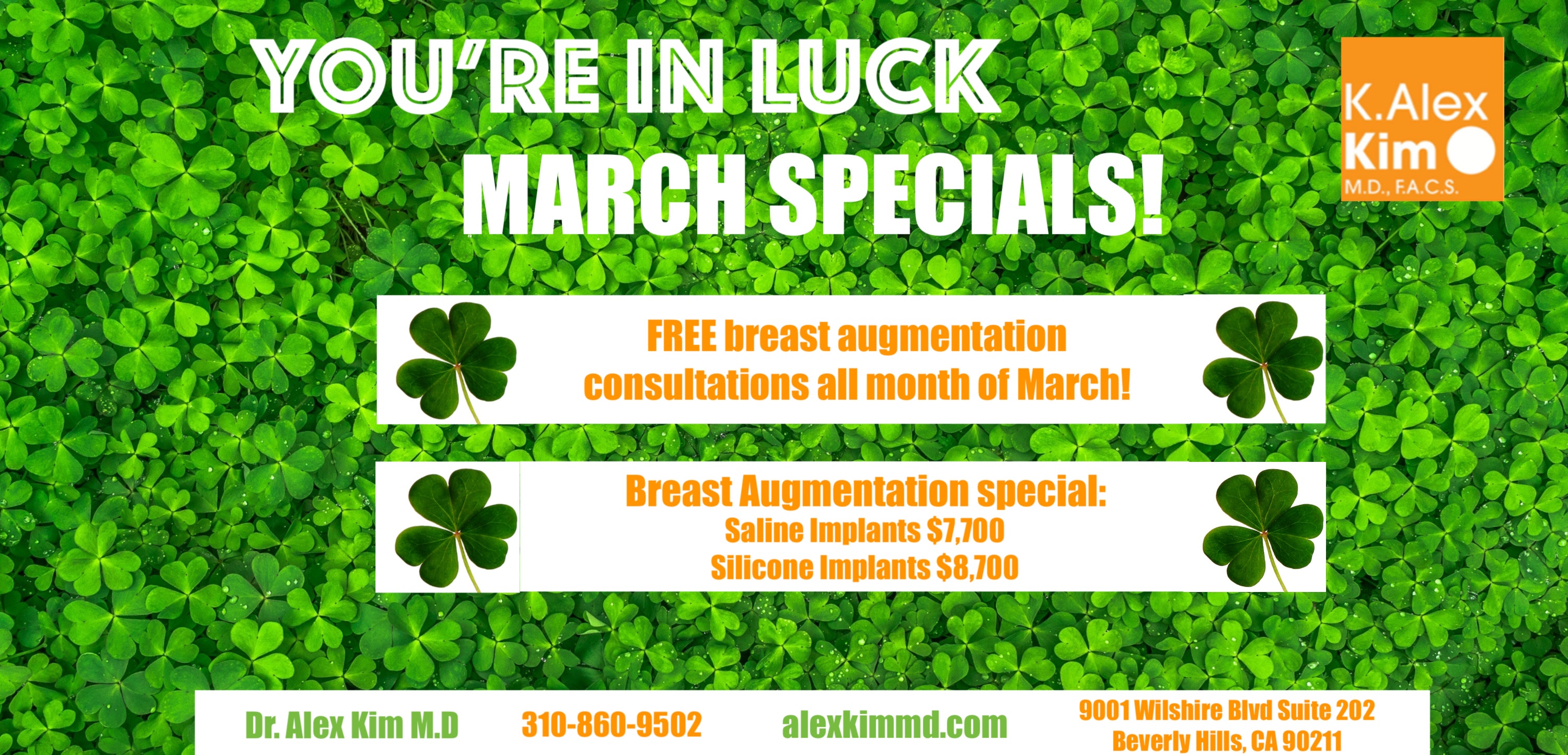 Breast Augmentation special